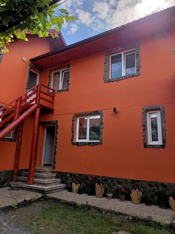 Casa Alex Hotel Cîrţişoara Exterior foto